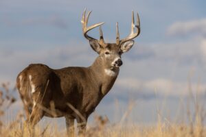 Missouri hunting season