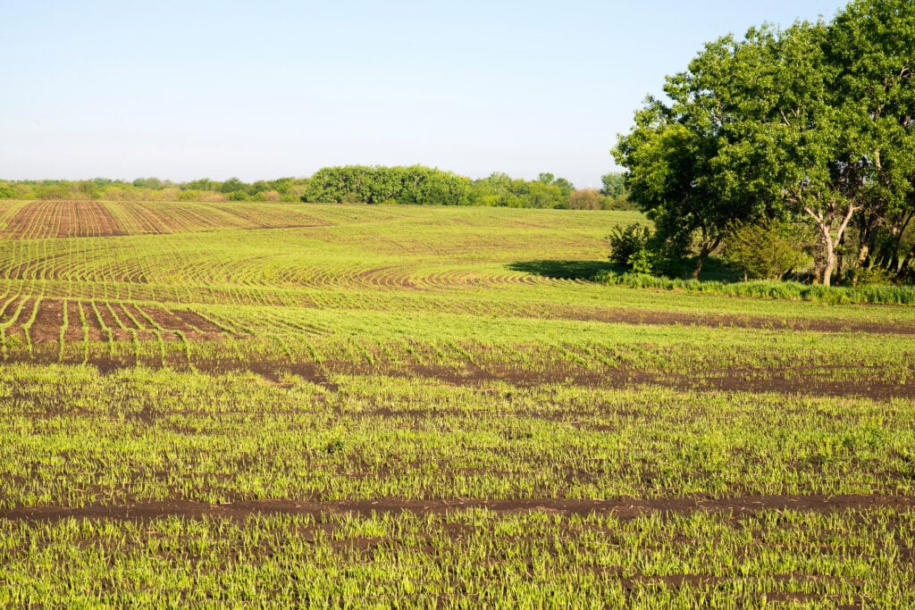 Land Ownership