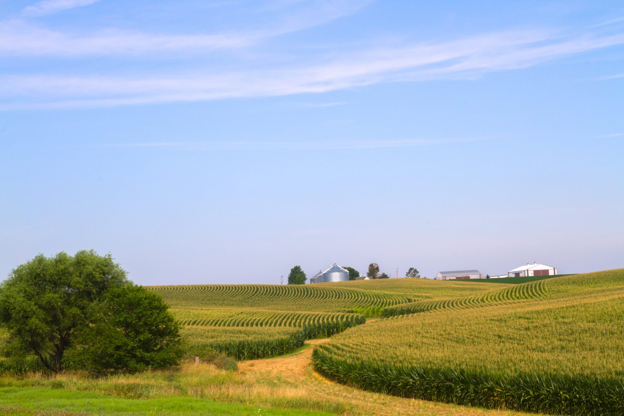 Farm Manager