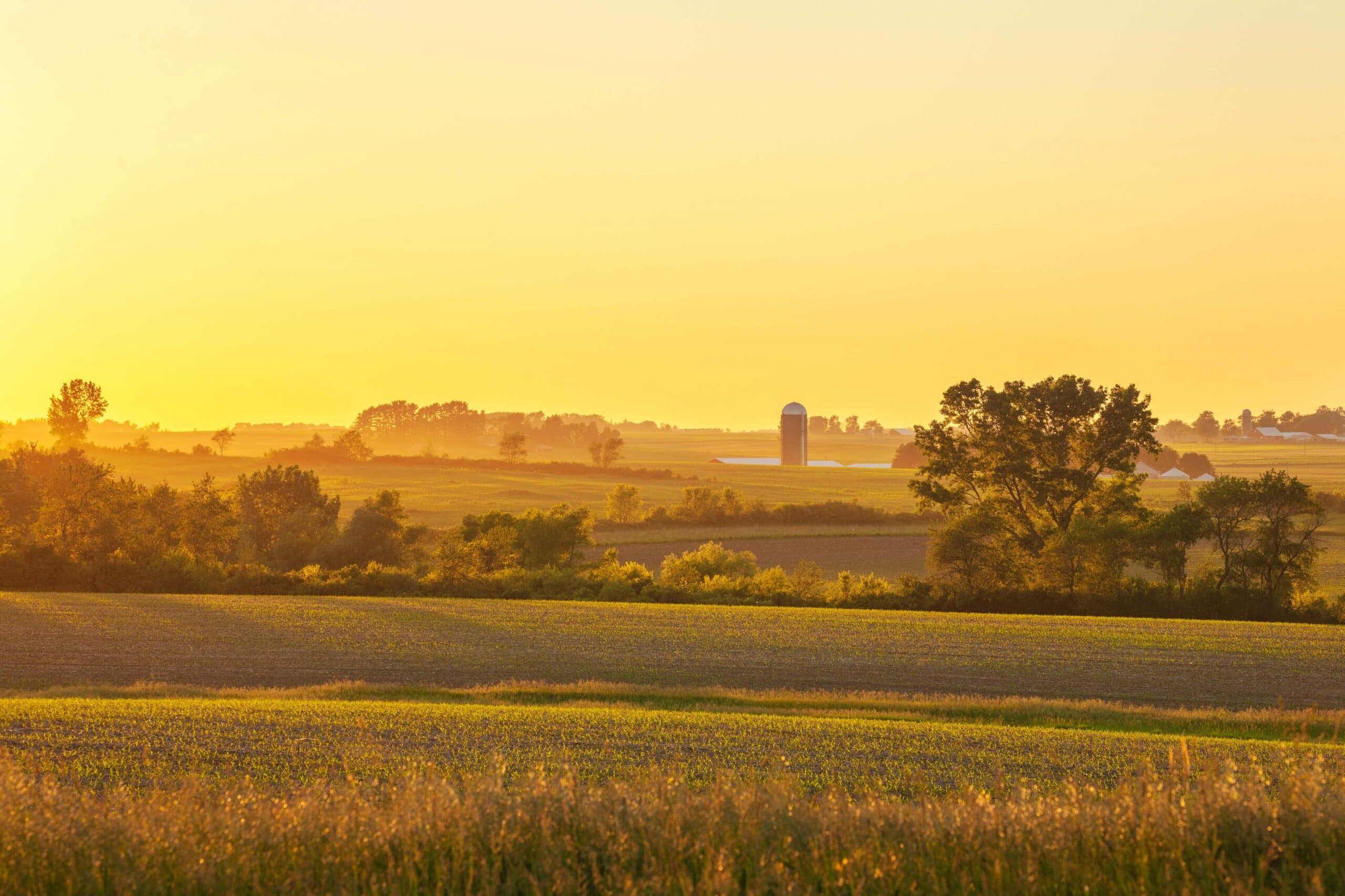 Inherited Farmland