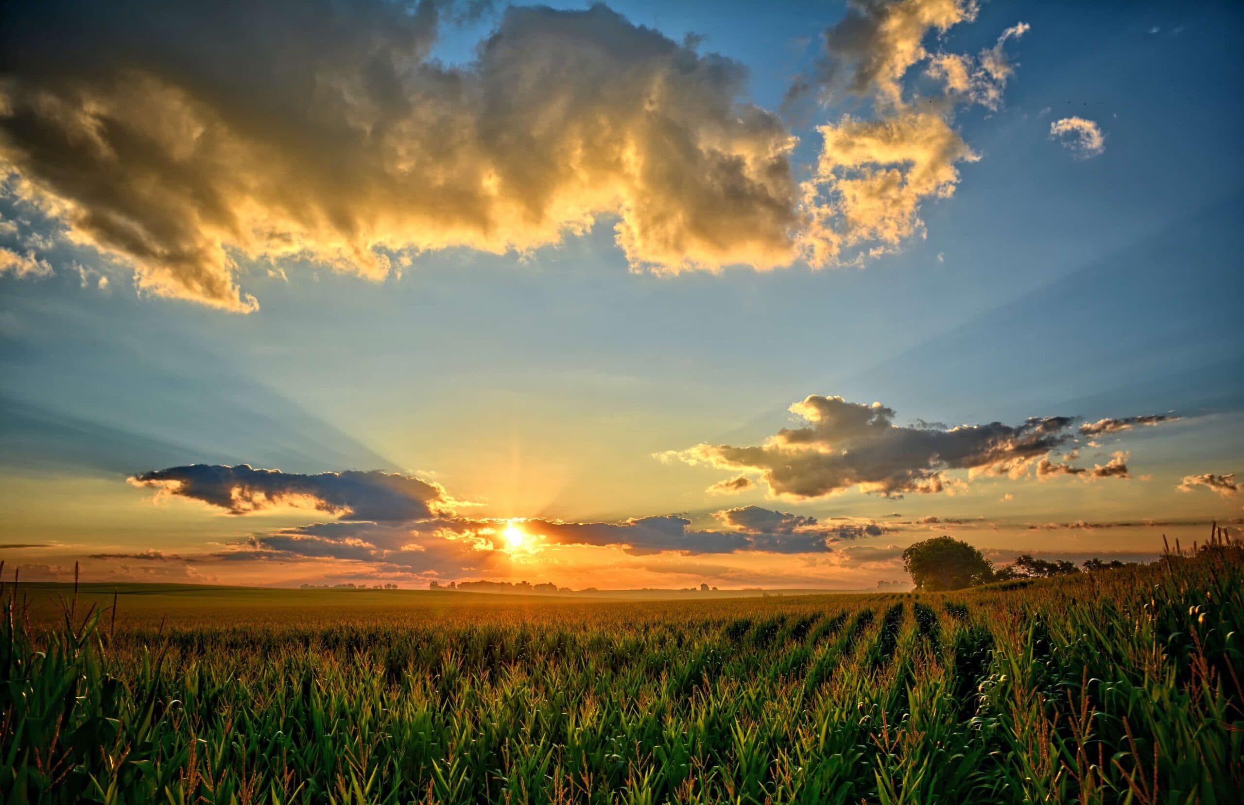 Farmers' Inheritance Tax